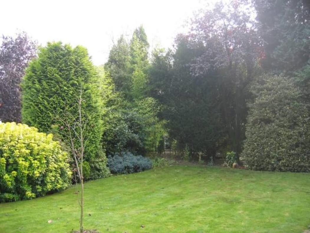 (right) Garden Suite in Villa near TUe&Centre Eindhoven Exterior foto